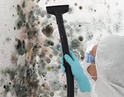 Best Mold Removal for HVAC Installations  in San Francisco, CA